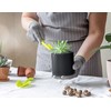 D'vine Dev 6 Pack 4 Inch Modern Plastic Plant Pots,