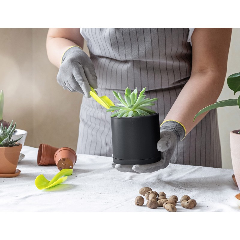 D'vine Dev 6 Pack 4 Inch Modern Plastic Plant Pots,