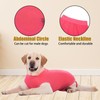 Axcimond Dog Recovery Suit Dog Onesie After Surgery Female Male