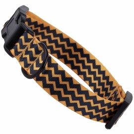 Hundehalsband für kleine und mittelgroße Hunde - Verstellbares Halsband aus Nylon (Charlie, M)