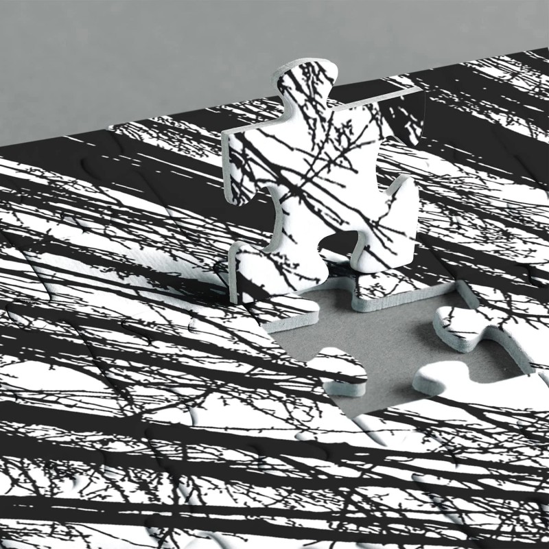 Bboldin Impossible Puzzle 1000 Piece, Challenging Difficult Puzzles for Adults,