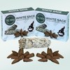 TRUMIRI White Sage Backflow Incense Cones - 20 Waterfall Cones