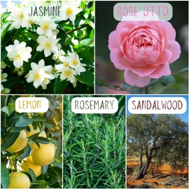 AROMA STICKERS® Original Blend Romance - 100% Natural Essential Oil Scented - Aromatherapy Sticker Diffuser for Perosonal Space - Towels & Pillows/Relaxing & Sleeping (Pack of 1, 12 Stickers)