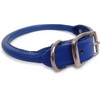 Auburn Leathercrafters Rolled Dog Collar - Royal Blue - 10