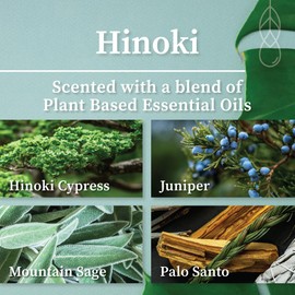 Hemlock Park Classic Wick Candle Handcrafted with Natural Coconut Wax and Essential Oils (Amber & Gold 7.2 oz, Hinoki)