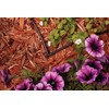 Rain Bird BE25-10S Drip Irrigation Universal 1/4" Barbed Elbow Fitting, Fits All Sizes of 1/4" Drip Tubing, 10-Pack