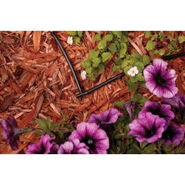 Rain Bird BE25-10S Drip Irrigation Universal 1/4" Barbed Elbow Fitting, Fits All Sizes of 1/4" Drip Tubing, 10-Pack