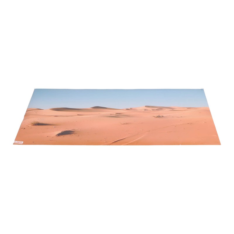 Aquarium Poster PVC Self Adhesive Waterproof 3D Desert Style Fish