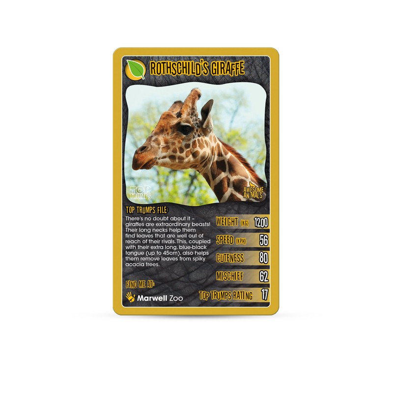 Awesome Animals Top Trumps Card Game, for 8 years to
