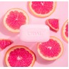 Cidal Pink Grapefruit Cleansing Bar Soap Bar, Antibacterial, With Grapefruit