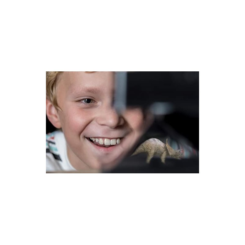 4M 403394 Hologram Projector