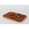WOLEDOE Reptile Large Water Dish, Tortoises Food Bowl - S