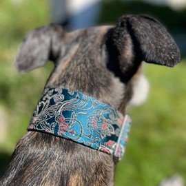 Extra Soft Martingale Dog Collar for Greyhound Saluki Whippet and Other Breeds with Similar Neck 2" Wide (11"-14")