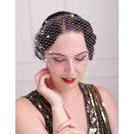 Aimimier Bridal Short Veil with Pearl Comb White Single-layered Birdcage Veil for Wedding (White)