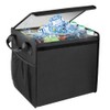 Car Trunk Organizer Insulated Foldable Storage Bag with 2 Bag