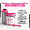 Creatina Mujer 5000mg Colágeno Bovino Bcaa Recuperación Sin
