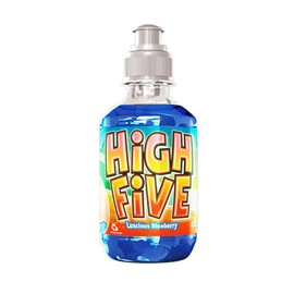 High Five Blueberry Flavored Juice Drink – 10.1 oz Bottles, Naturally Sweetened with Vitamin C, Low-Calorie Fruit Juice Beverages with Spill Proof Sports Cap (Pack of 24)