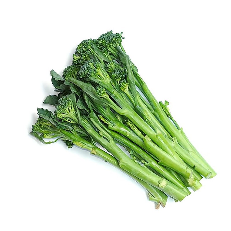 Spring Broccoli Rabe Seeds - Rapini and Brassica Rapa VAR
