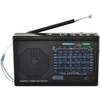 Supersonic 9-Band Rechargeable Bluetooth AM/FM Radio (Black) with USB/SD MP3