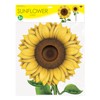 Beistle 52162 Sunflower Cutouts, 3', Multicolor