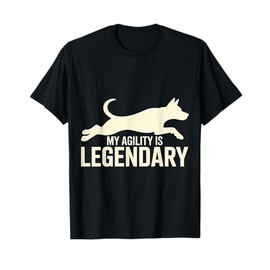 My Agility Is Legendary Reflex Training Ninja ---- T-Shirt