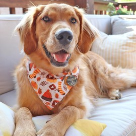 CROWNED BEAUTY Fall Dog Bandanas Reversible Large 2 Pack, Spice Styles Set, Plaid Adjustable Triangle Holiday Scarves for Medium Large Extra Large Dogs Boy Girl Pets DB124-L