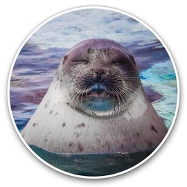2 x 20cm Vinyl Stickers - Sleepy Seal Ocean Marine Decals 14503