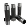 Supply Giant 1200NPBA Malleable Black Pipe Assortment Kit, 60 Pipes
