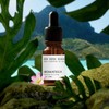 AromaTech Bora Bora Serenity Aroma Essential Oil Blend: Luxury Hotel