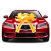 Giant 30" JumBow Magnetic Car Bow - Grad Year 2025,