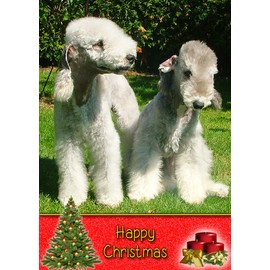 Bedlington Terrier Dog Christmas Card 'Happy Christmas' - Special Animal Xmas Card for Him Her from Pets Kids