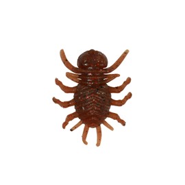 Duo Realis Koninmushi Beetle 028 Shrimp Miso 1.3 inches (32 mm)