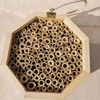 ANCLLO Handmade Natural Bamboo Bee Hive Mason Bee House Tubes