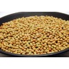 Dundale Field Pea Seeds by Eretz - Willamette Valley, Oregon