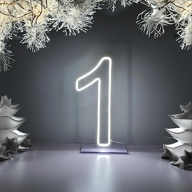 LED Neon Signs Number 1 Birthdays Decor Neon Lights Party USB Plus Battery Case Light up your baby's birthday with our Neon Number One Sign (Number 1)