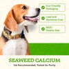 Animal Essentials Seaweed Calcium - Supplement for Dogs and Cats,