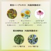 La Casta Aroma Aesthetic Hair Emulsion (Non-Rinsing Treatment), Organic Plant