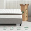 Z-hom Queen Mattresses, 10 Inch Queen Memory Foam and Spring