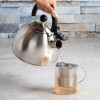 Primula Stewart Whistling Stovetop Tea Kettle Food Grade Stainless Steel,