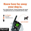 The BigLeash S-15 Remote Dog Training Collar with FireFly Nightlight