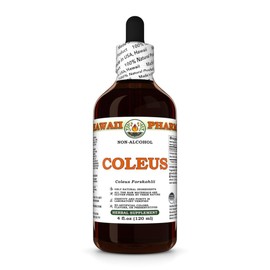 Coleus (Coleus Forskohlii) Dry Root Glycerite, Made in Hawaii, All Natural, Vegan, Lab Tested Alcohol-Free Liquid Extract - 4 fl.oz