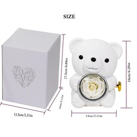 Generic Preserved White Real Rose & White Bear Box with Heart I Love You Necklace Box and Eternal Flowers Rose Birthday Gifts for Her Mom Wife Girlfriend Grandma on Valentines Mothers Day Christmas