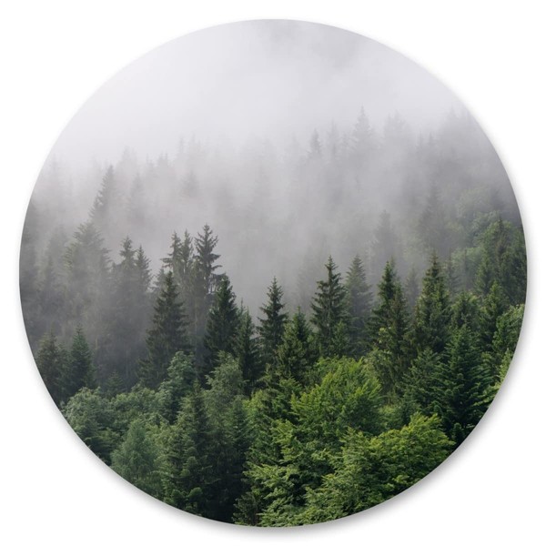 Muralo Sticker Circle Trees in Fog Forest Plants Nature Green