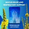 Breathe - Lung Cleanse Supplement with Mullein Leaf Extract for
