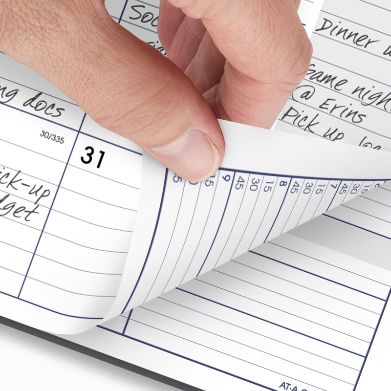 AT-A-GLANCE 2026 Appointment Book Planner, Weekly & Monthly, 8-1/2" x