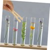 ULTECHNOVO 10pcs Bamboo Test Tube Holder Clips Laboratory Accessory for