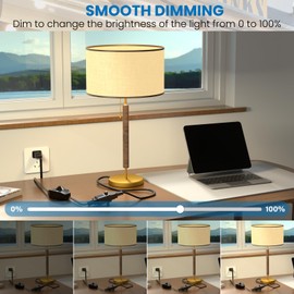 DoRight Dimmer Plug Switches Lamp Dimmer Plug for Outdoor String Light Dimmer, 110V 100 Watt MAX Table Top Plug in Dimmer for Dimmable LED/Halogen/Incandescent, 6.56FT Cord, IP44, Black, Pack of 2