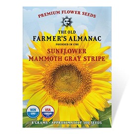 The Old Farmer's Almanac Sunflower Seeds (Mammoth Gray Stripe) - Approx 100 Flower Seeds - Non-GMO, Premium, Open Pollinated