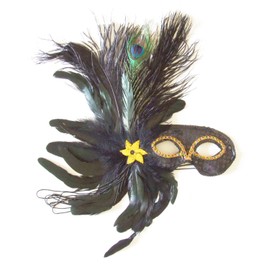 Goth Black Feather Mardi Gras Costume Mask Party Prom