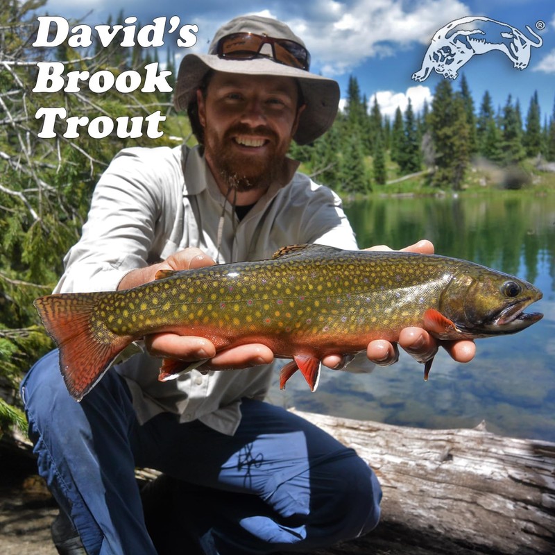 Panther Martin PMCB_2_CBK Classic Regular Teardrop Spinners Fishing Lure -